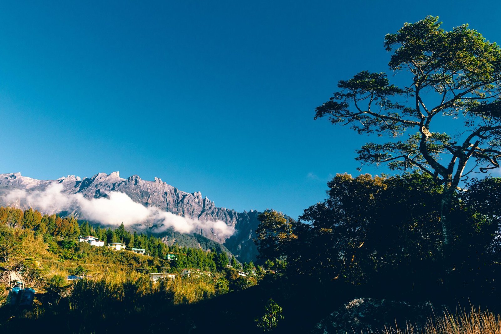 Breathtaking mountain view with lush greenery and a vivid blue sky, perfect for nature lovers.